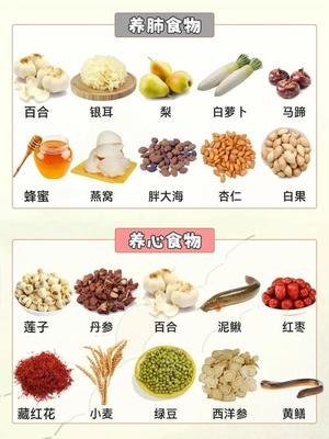 养生饮食进阶知识大全 高阶实用食养技巧全收录