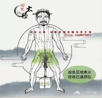 养生经络进阶秘籍：解锁更高效的养生经络技巧