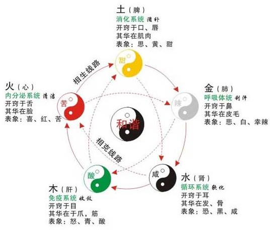 中医养生之道：精准调理阴阳，重焕生命活力与健康平衡