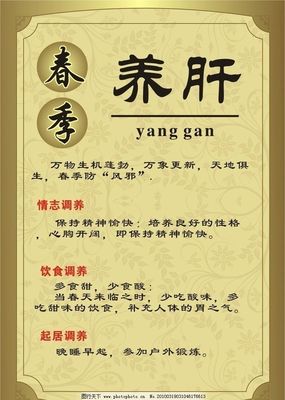 饮食养生巧养肝 选对家常食材守护肝脏健康