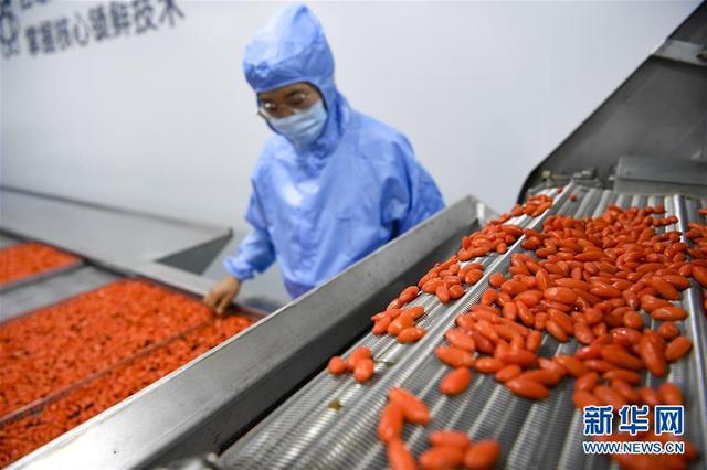 枸杞线上销售：便捷选购，优质枸杞直抵您家