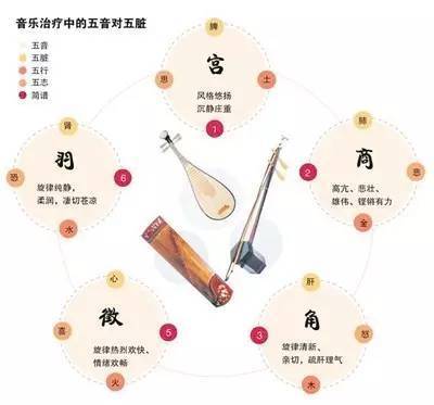 养生之基：情志调养铸就身心健康基石