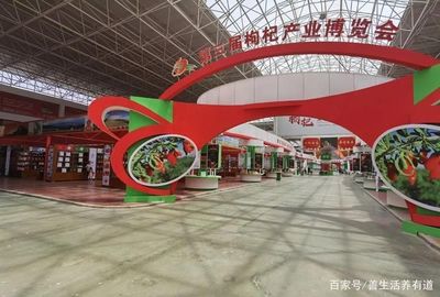 枸杞品牌博览会：汇聚精华，共展枸杞产业璀璨风采