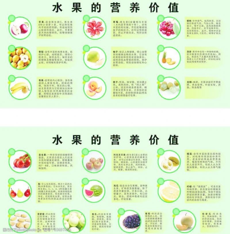 饮食养生：探寻富含高矿物质食材，开启健康生活新方式