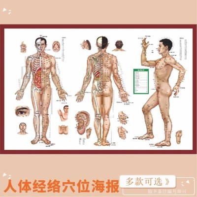 中医养生经络针灸：开启身体康健之门的神奇疗法