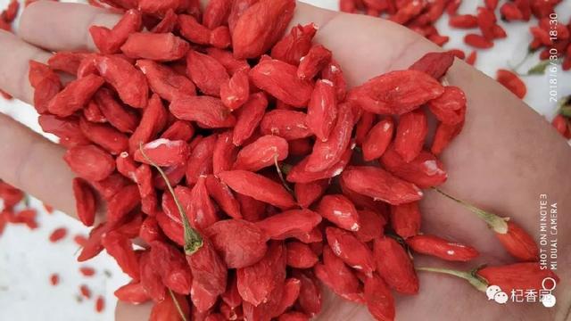 枸杞安全：从种植到食用，全方位守护每一份健康与安心