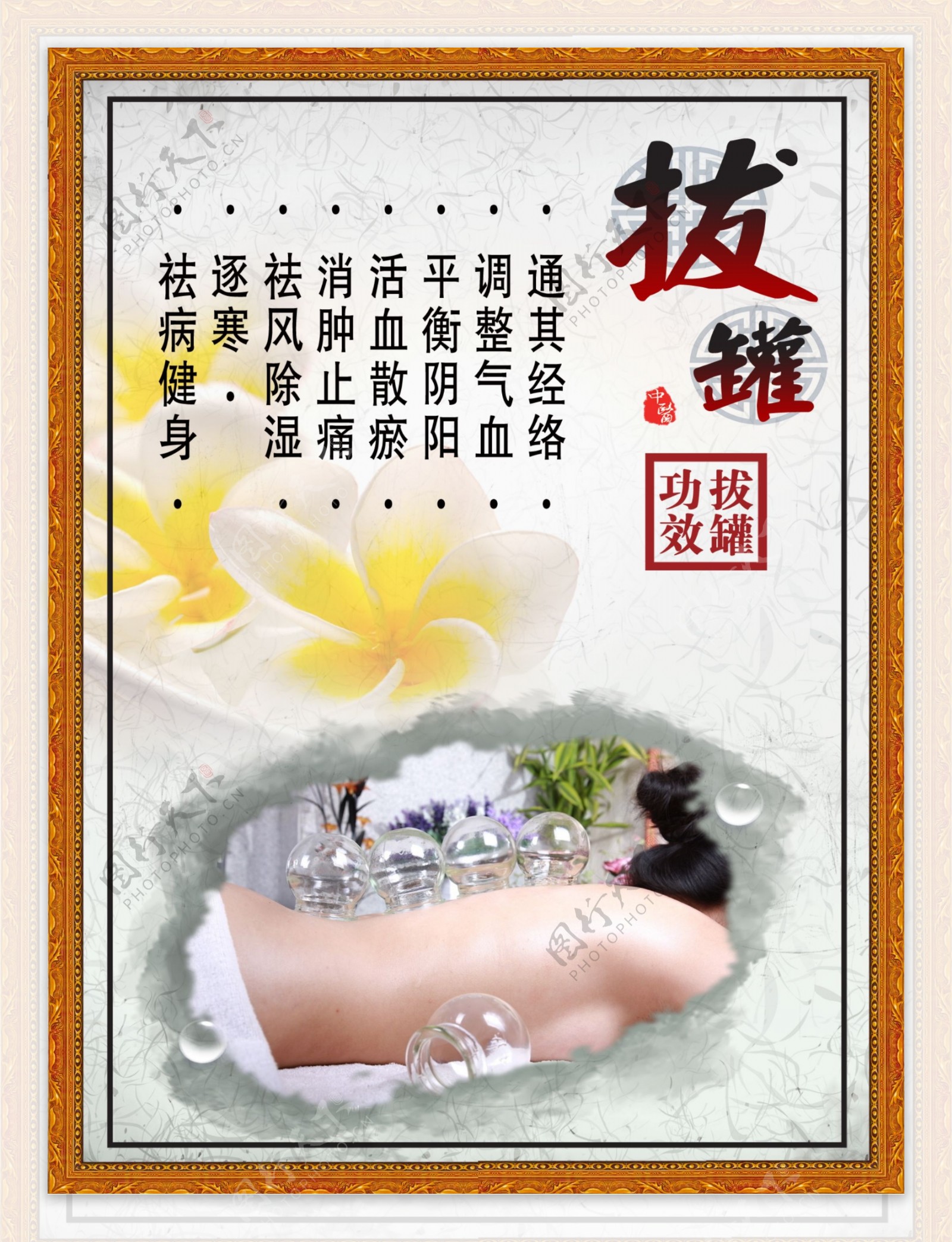 经络拔罐开启中医养生妙法，解锁身体康健密码