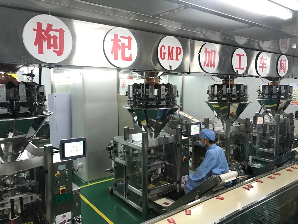 枸杞 GMP：保障枸杞质量与生产规范的关键要素