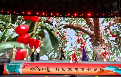 枸杞品牌深耕终端触点 激活线下消费新活力
