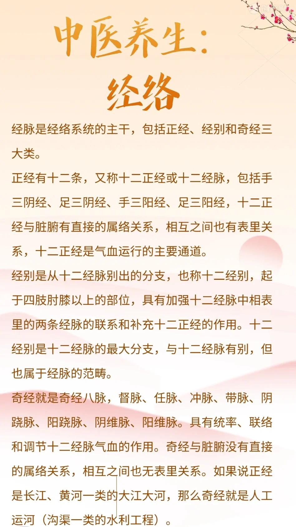 养生经络进阶常识：深度探秘经络奥秘，解锁养生进阶之道