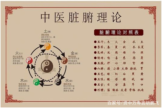 中医养生之道：精准调理脏腑，焕发身心活力