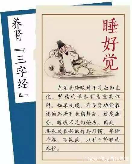 养生睡眠基础：营造优质睡眠环境，奠定健康生活根基