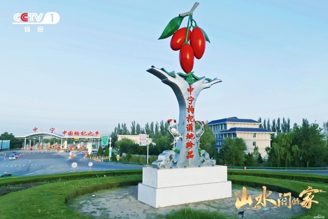 枸杞品牌大赛：汇聚精华，角逐枸杞领域闪耀品牌荣耀