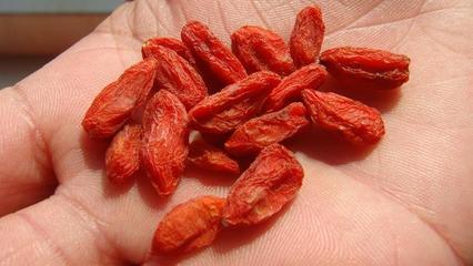 枸杞上火能吃吗？一文带你揭开枸杞食用与上火关系的真相
