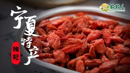 枸杞运输：保障品质与时效，让每颗枸杞安全抵达目的地